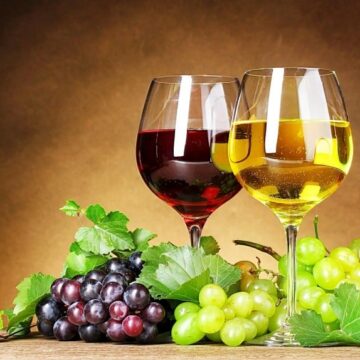 GrapeGPT: o assistente de vinho com inteligência artificial