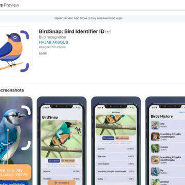 BirdSnap: A Revolução na Identificação de Aves com Inteligência Artificial