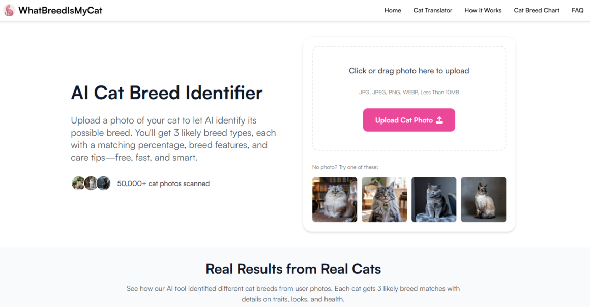 WhatBreedIsMyCat: descubra a raça do seu gato com IA