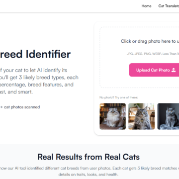 WhatBreedIsMyCat: descubra a raça do seu gato com IA
