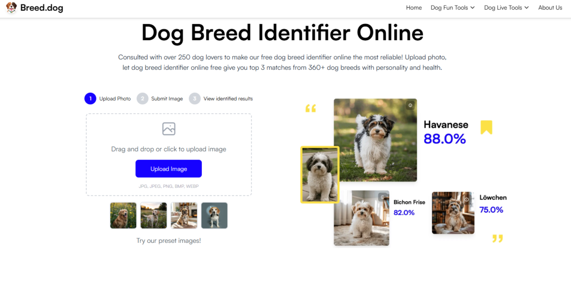 Breed.dog: descubra a raça do seu cachorro com IA